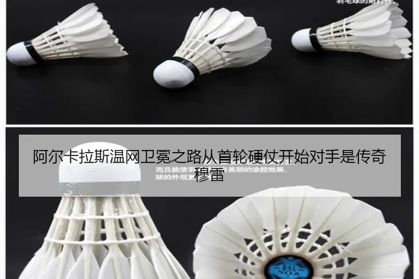 阿尔卡拉斯温网卫冕之路从首轮硬仗开始对手是传奇穆雷